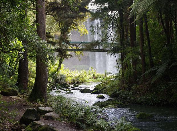 Our Favourite North Island 4WD Experiences