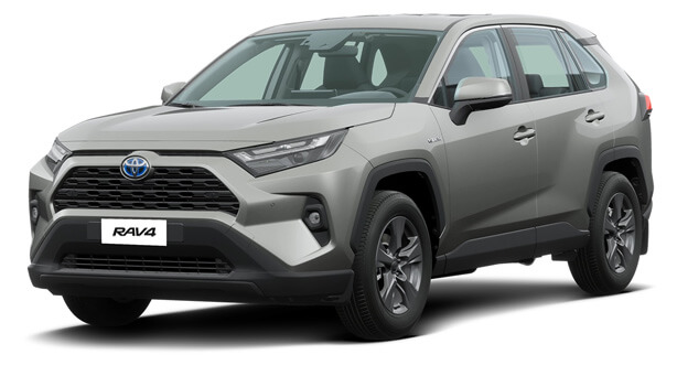 Rav42015 2017