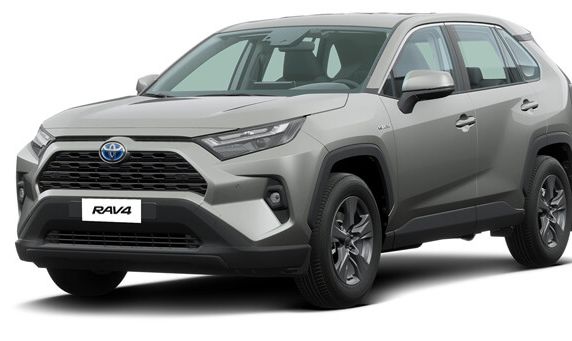 Rav42015 2017